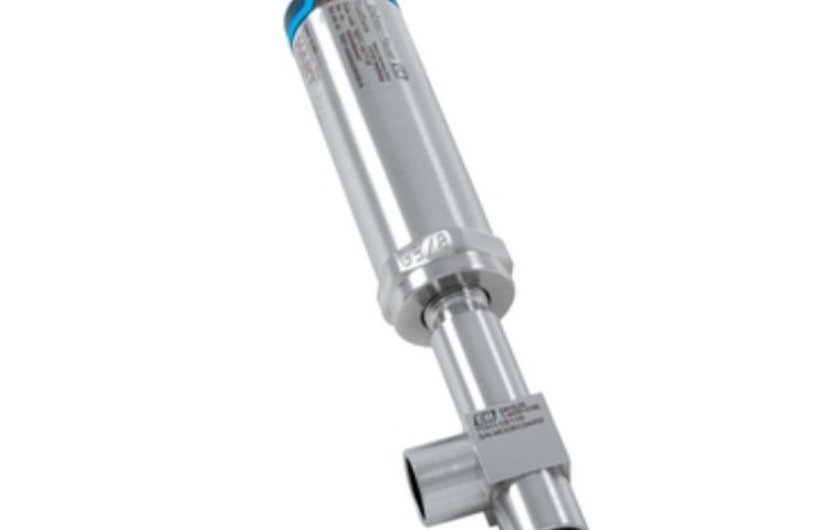 Санитарный RTD - iTHERM TrustSens TM371 Endress+Hauser